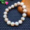 wsxc1693843838620_1 Horseshoe shell single loop bracelet