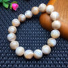 wsxc1693843838620_2 Horseshoe shell single loop bracelet