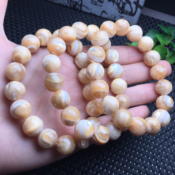 wsxc1693843838620_5 Horseshoe shell single loop bracelet